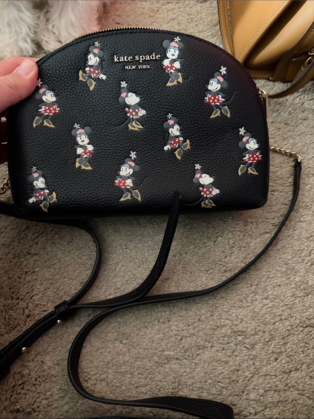 Kate spade Disney crossbody bag